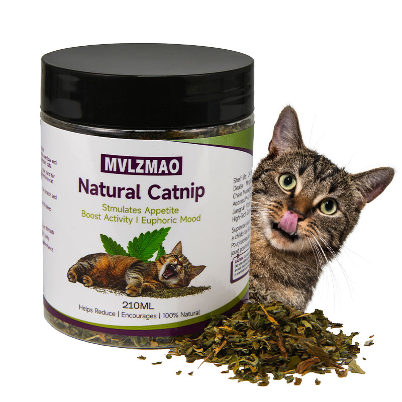 Cat Toys - Silvervine Catnip f - đánh giá và giá Herbal Wellness Products
