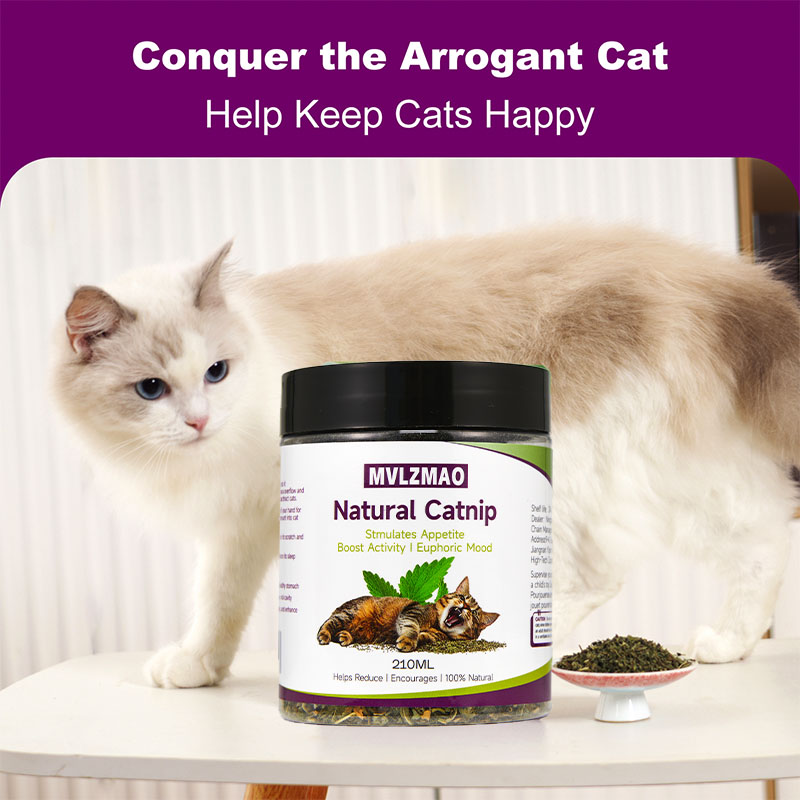 Cat Toys - Silvervine Catnip f - đánh giá và giá Herbal Wellness Products