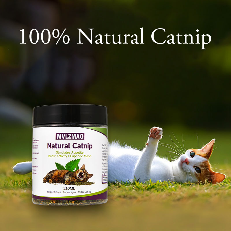 Cat Toys - Silvervine Catnip f - đánh giá và giá Herbal Wellness Products