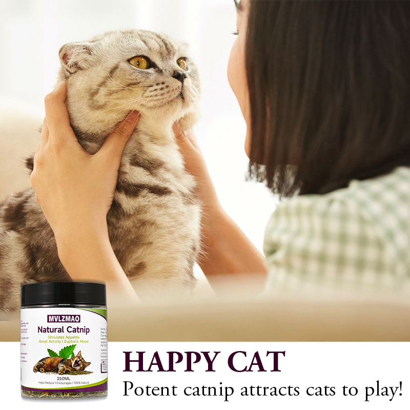 Cat Toys - Silvervine Catnip f - đánh giá và giá Herbal Wellness Products